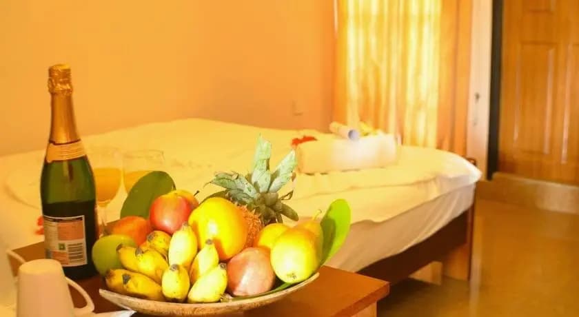 Alaya Inn - photo 6