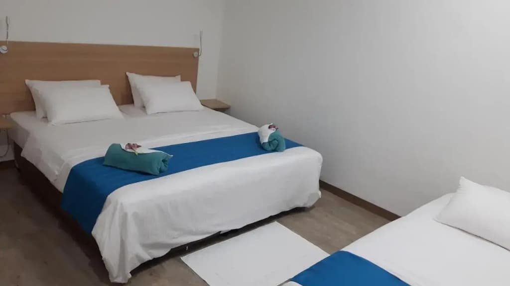 Seginy Seaview Hotel - photo 5
