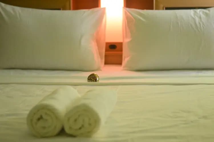Dhon Bandaara Inn - photo 4