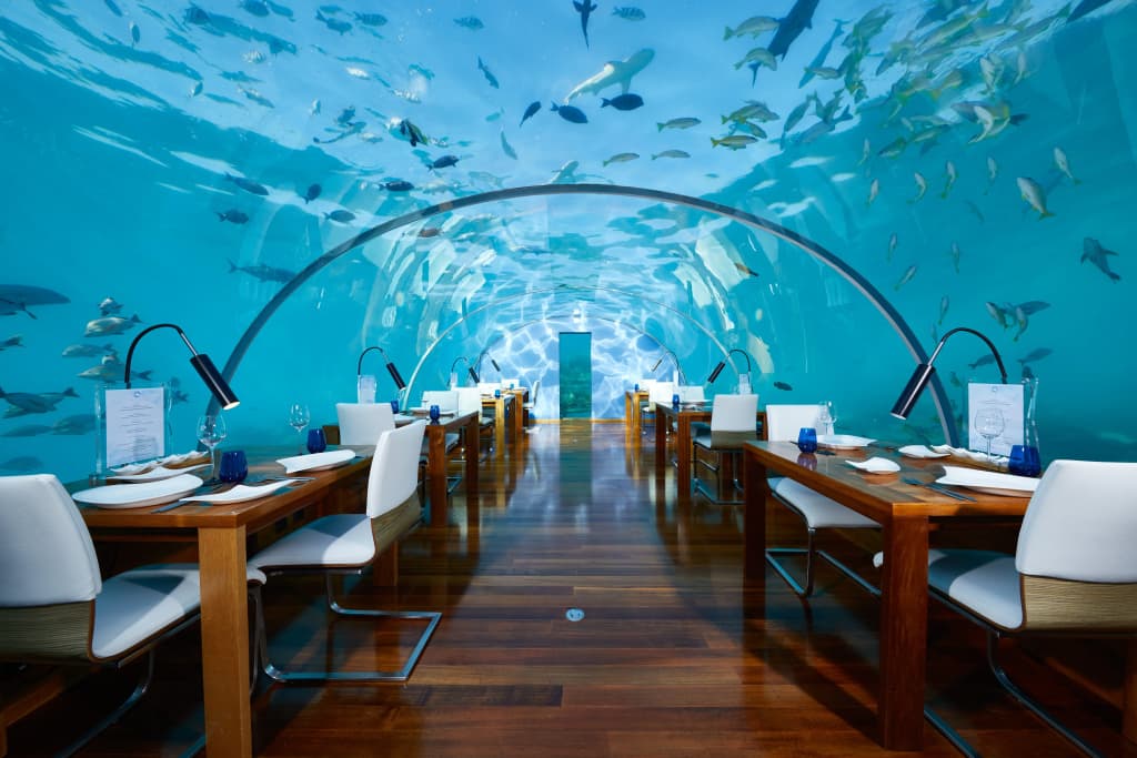 Conrad Maldives Rangali Island Resort - photo 40