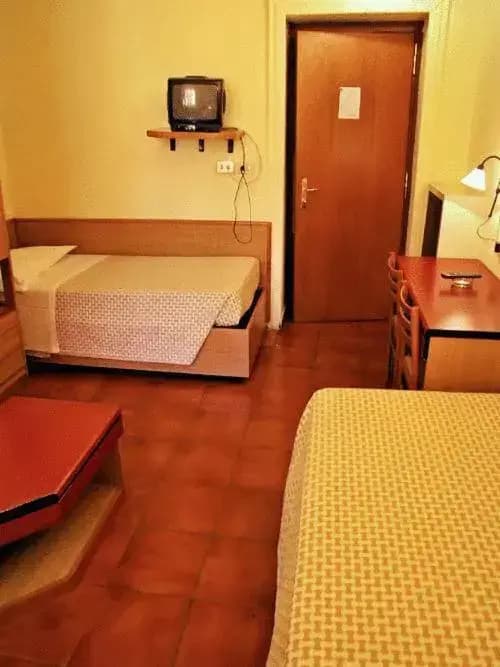 Hotel Minerva - photo 8