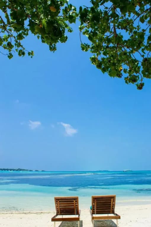 Seginy Seaview Hotel - photo 24