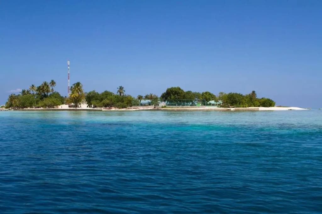 Tropic Tree Hotel Maldives - photo 14