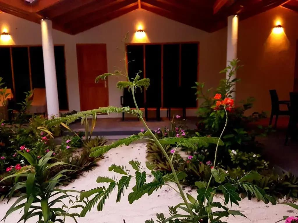 Thoddoo Beach Holiday Inn - photo 19