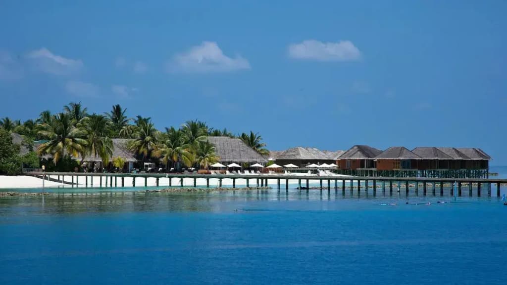 Vakarufalhi Island Resort & Spa - photo 10