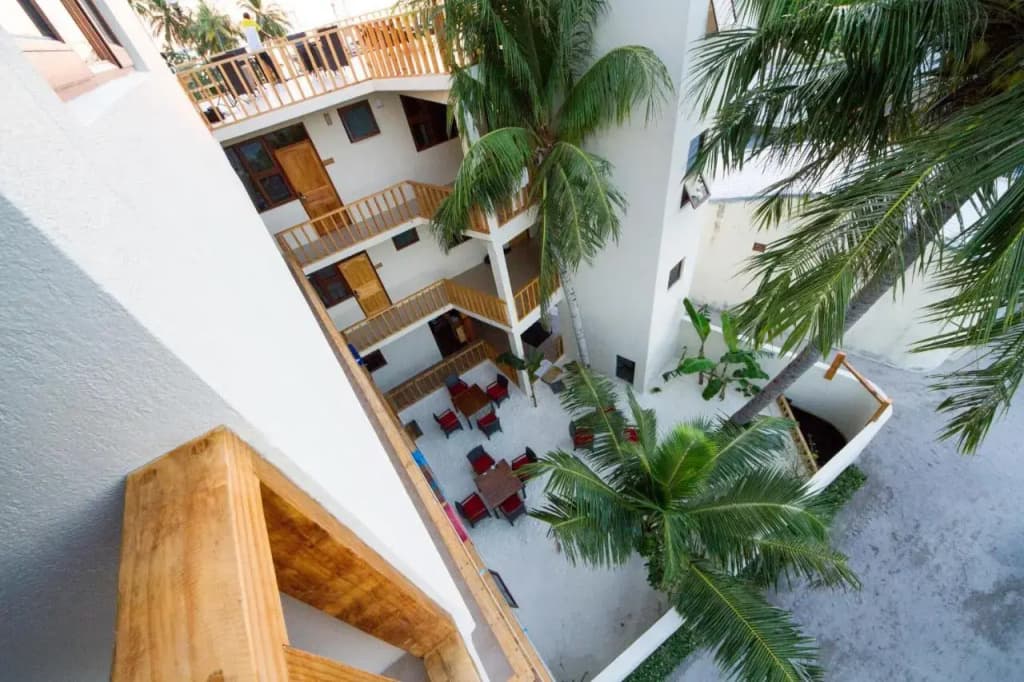Tropic Tree Hotel Maldives - photo 17