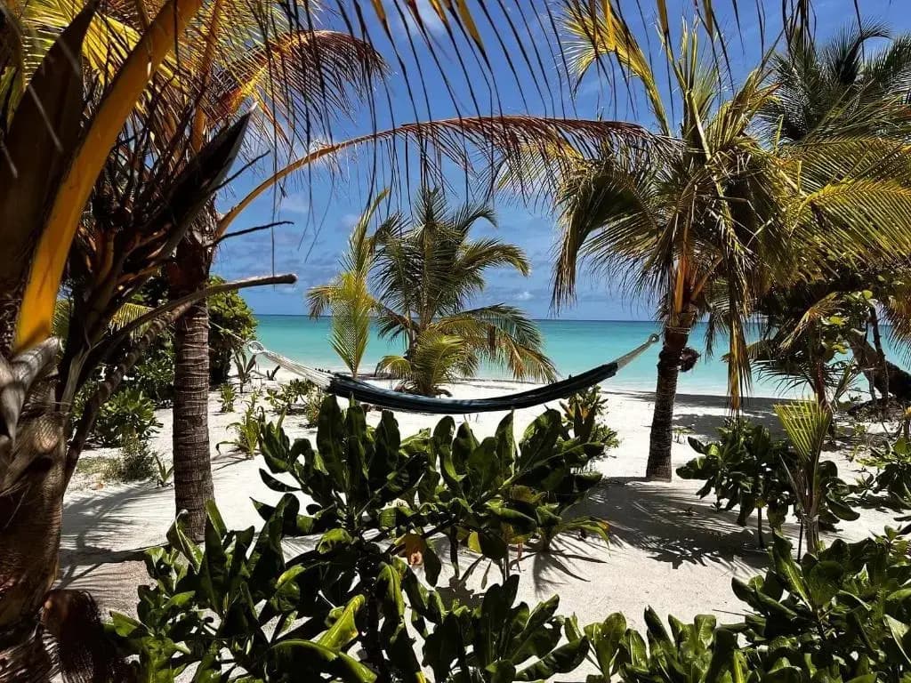 Clouds Beach Retreat Laamu - photo 18
