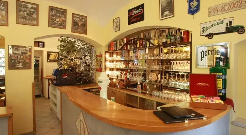 Residence Dvorak - photo 10