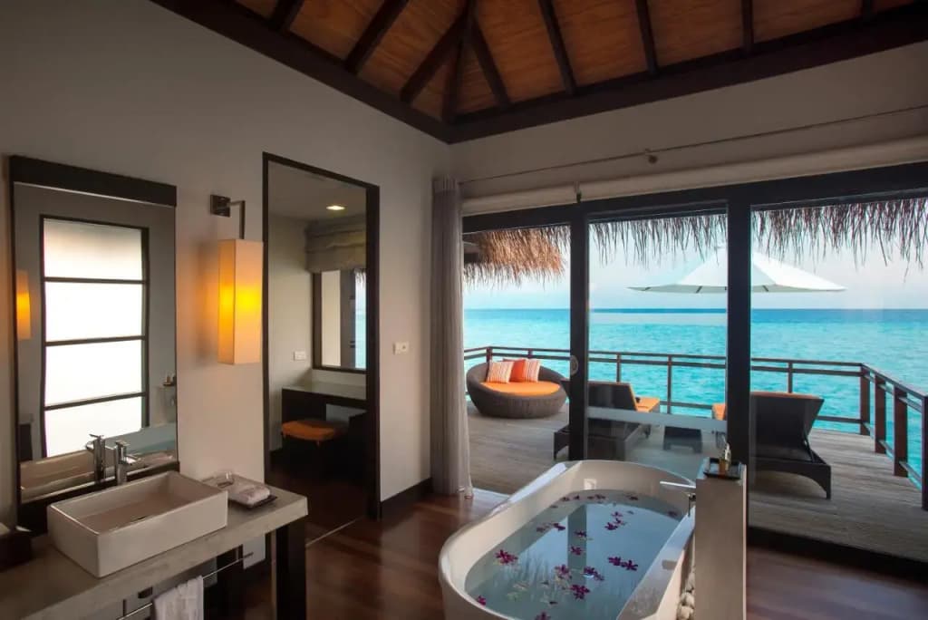 Niva Velassaru Maldives Hotel - photo 14