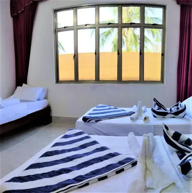 La Isla Tropica Hotel - photo 4
