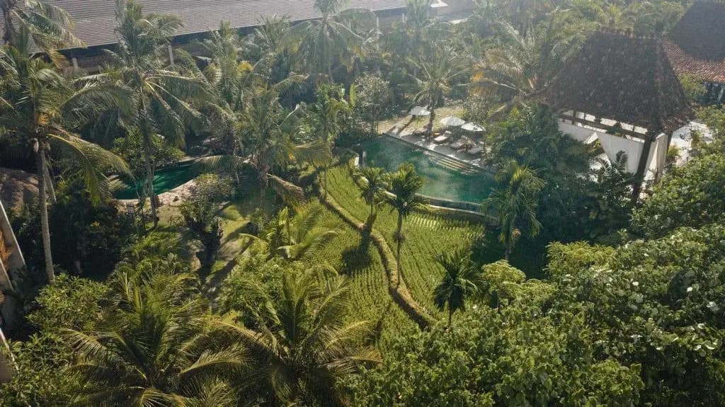 Alaya Resort Ubud Hotel - photo 24