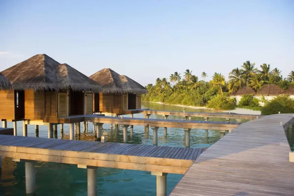 Lux South Ari Atoll Resort - photo 23