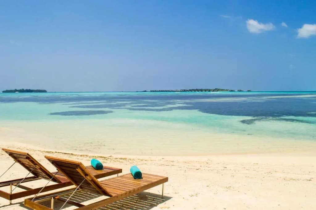 Seginy Seaview Hotel - photo 20