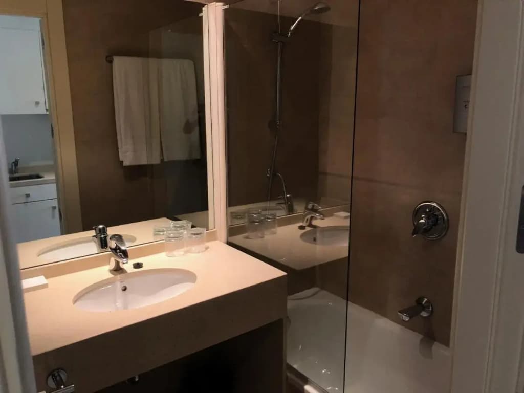 Suites Viena Plaza De Espana Hotel - photo 16