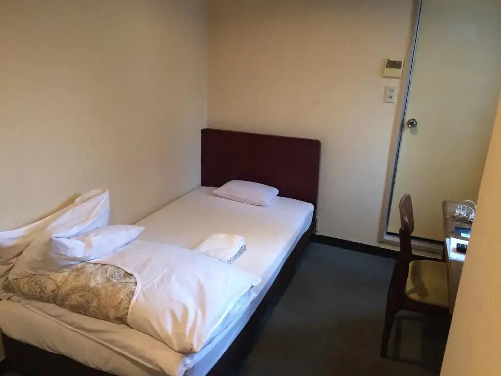 Namba Plaza Hotel - photo 5