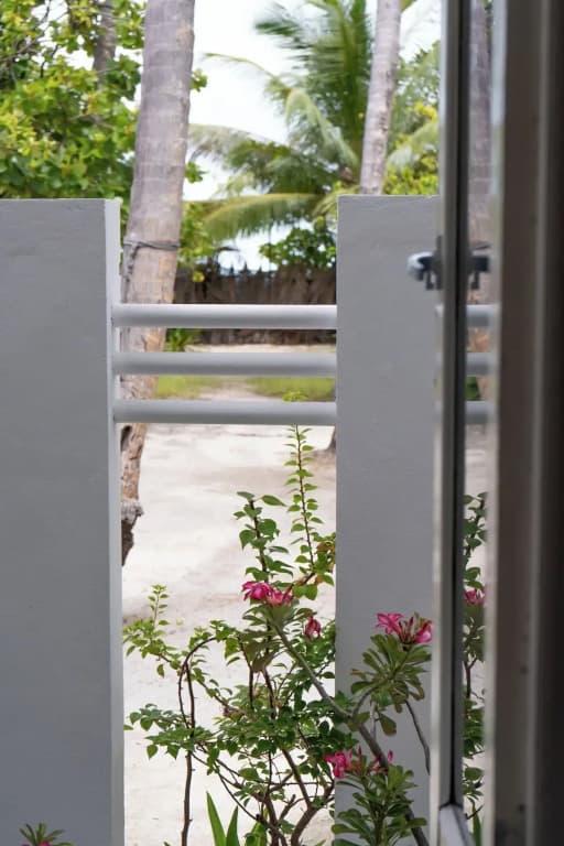 Vaali Maldives Island Escapes & Dive Guest House - photo 6