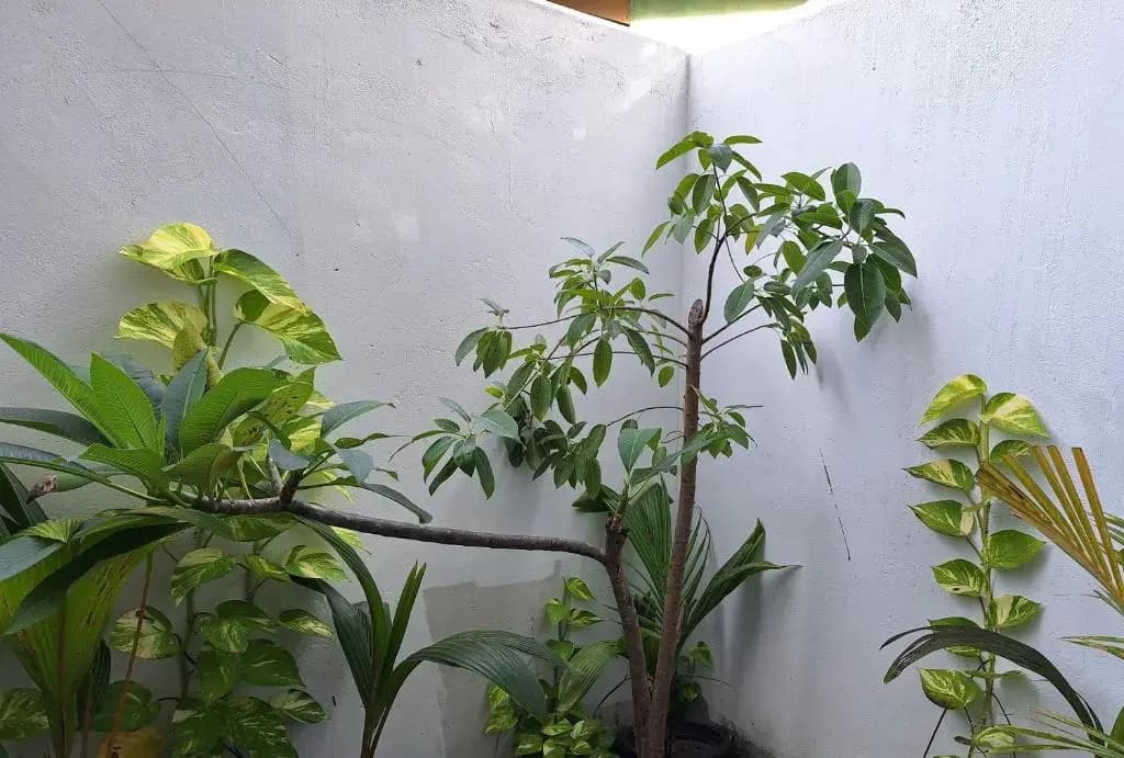Thundi village and spa - photo 33