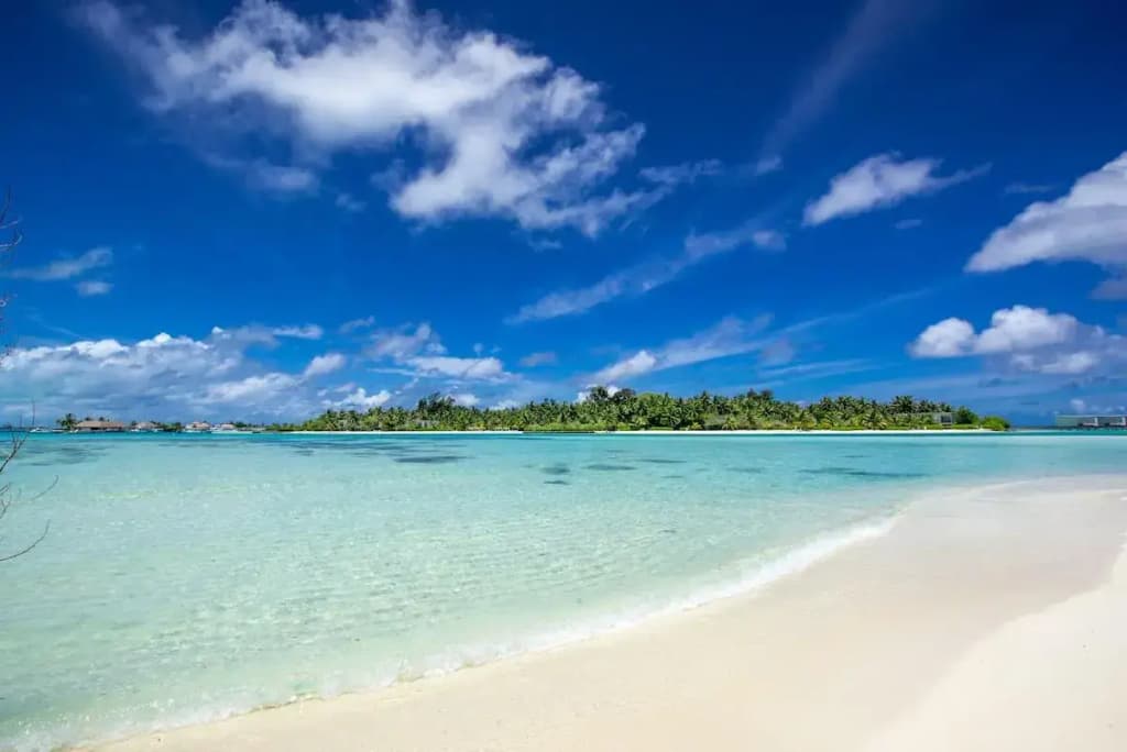 Ithaa Beach Maldives  - photo 14