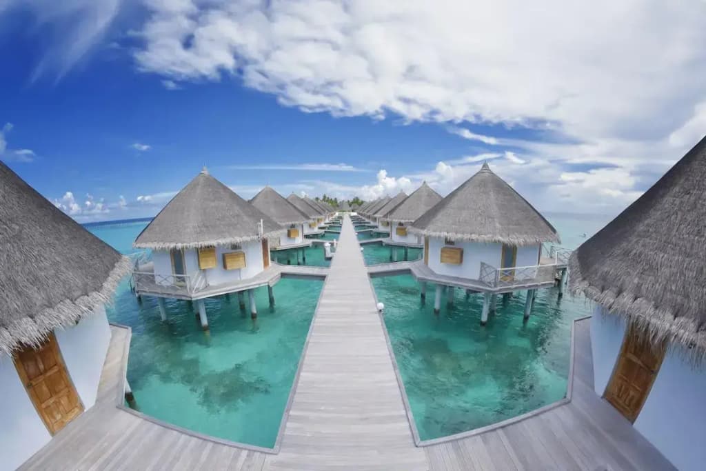 Angaga Island Resort & Spa - photo 14