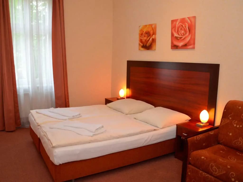 Albertin Hotel - photo 4