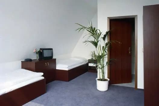 Hotel Hildebrandt - photo 3
