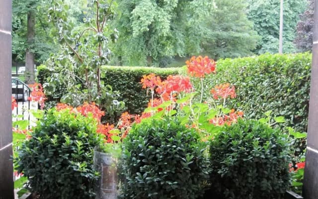 The Hedges - photo 4