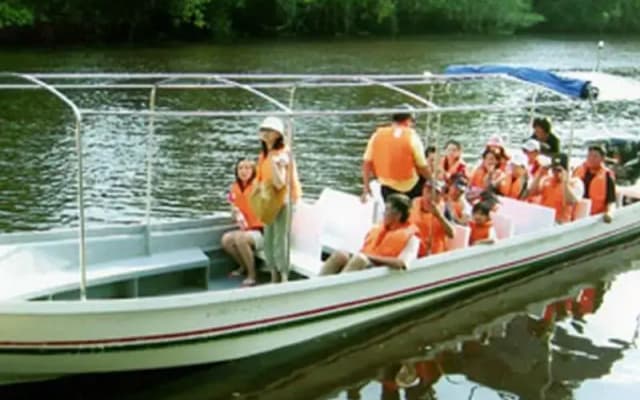 Borneo Proboscis River Lodge - photo 4