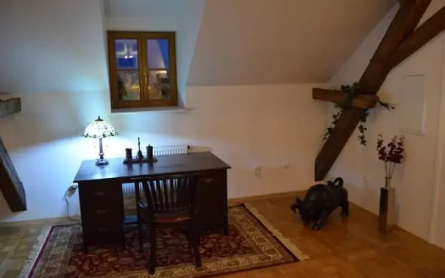 Attic Hastalska - photo 5