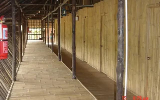 Borneo Proboscis River Lodge - photo 2