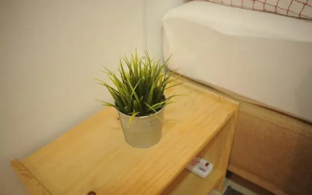 Orked Guesthouse - photo 5