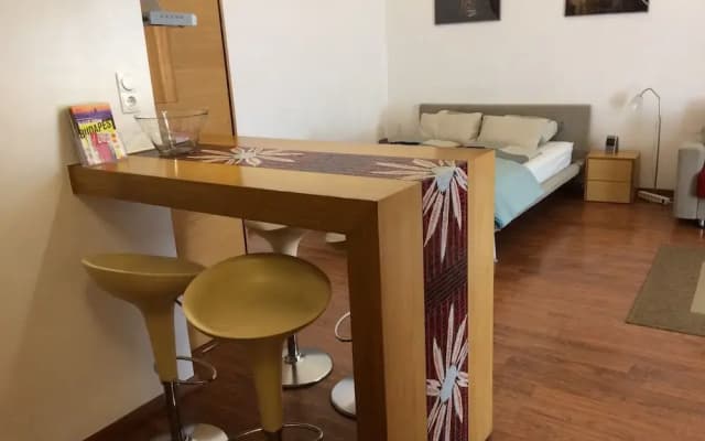 Liszt Studios Apartment - photo 4