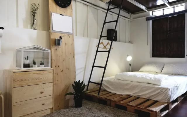 Milli Guesthouse - photo 3