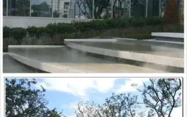 Seoul Forest The Sharp - photo 5