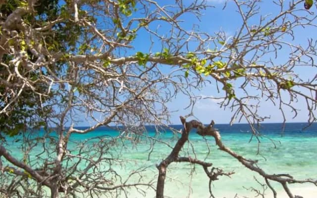 Aligaa Fishing Lodge - photo 5
