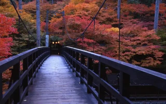 Momijiya Bekkan Kawa No Iori Ryokan - photo 5