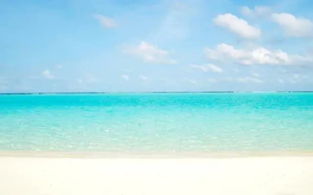 Holiday Grand Thoddoo - photo 4