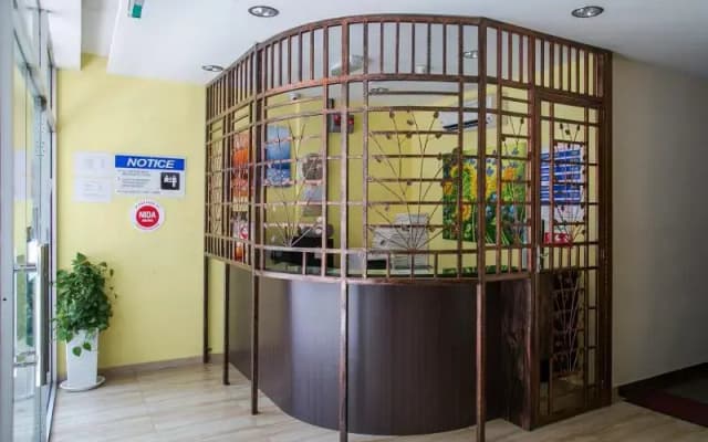 OYO 172 Spring Hotel - photo 5