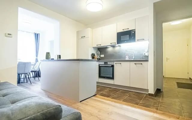 Comfy 1BR 1LR Apt Donaustadt Zones - photo 4