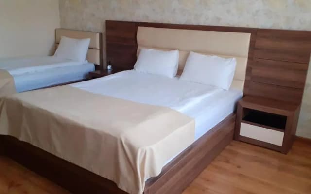 Hotel Lile - photo 2