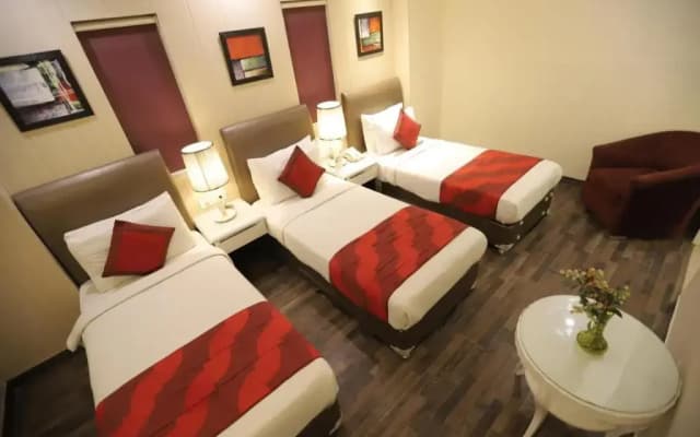 Hotel Picasso Naraina - photo 5