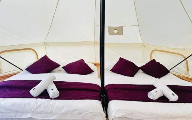 Dnamie Glamping - Lux Tent - photo 3