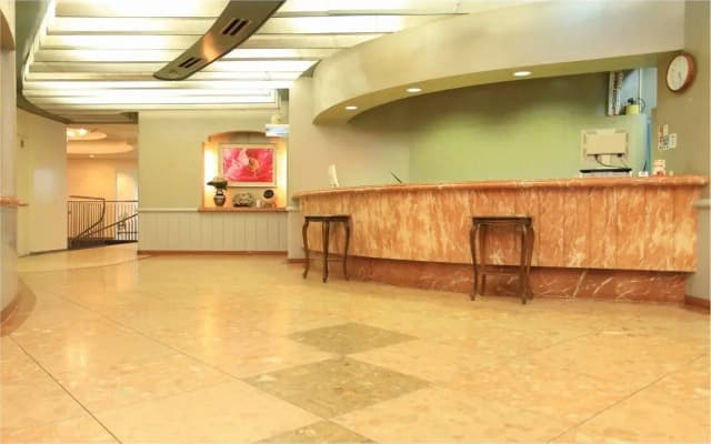 Namba Plaza Hotel - photo 2