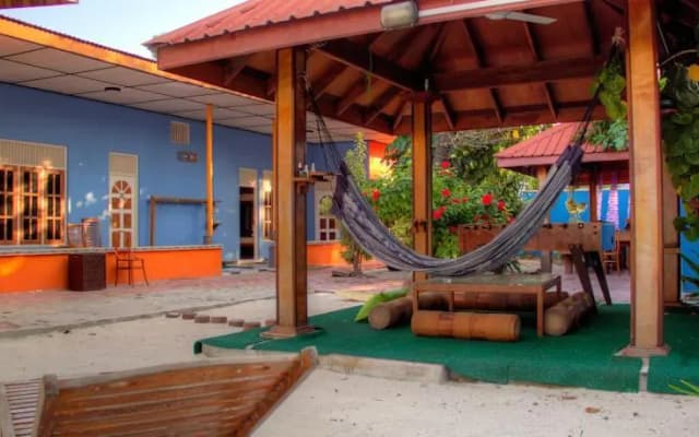 Surf Inn Maldives - photo 5