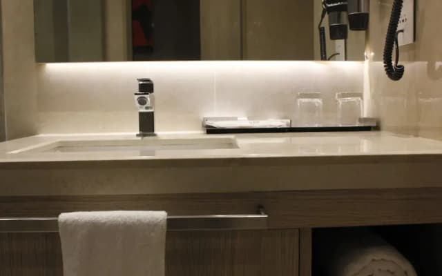 Hotel Swati - photo 5