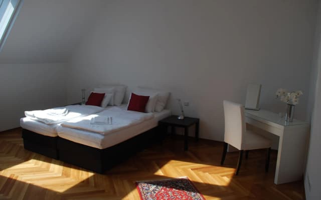 Duschel Apartments City Center - photo 4