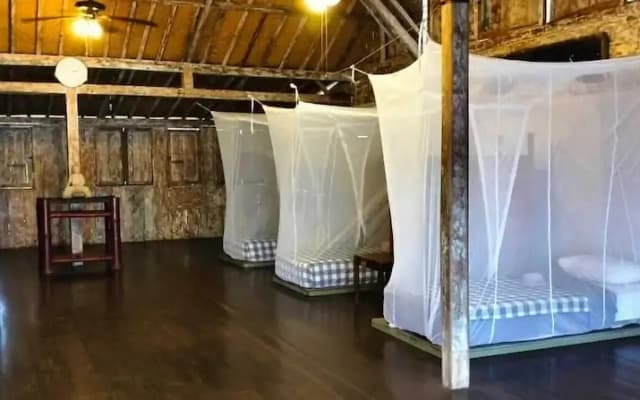 Seabreeze Hostel Bali - photo 2