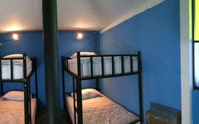 Ozone Hostel - photo 5