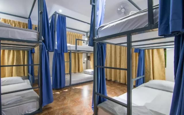 Bokre Angkor Hostel - photo 3