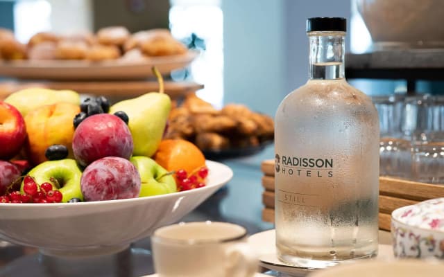 Radisson Hotel Budapest Budapart - photo 4