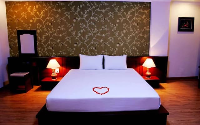 Nice Swan Hotel - photo 3